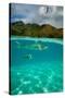 Half Water Half Land, Sharks and Fish Swimming in the Pacific Ocean-null-Stretched Canvas