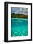 Half Water Half Land, Sharks and Fish Swimming in the Pacific Ocean-null-Framed Photographic Print