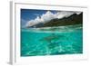 Half Water Half Land, Sharks in the Pacific Ocean, Moorea, Tahiti, French Polynesia-null-Framed Photographic Print