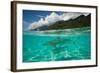 Half Water Half Land, Sharks in the Pacific Ocean, Moorea, Tahiti, French Polynesia-null-Framed Photographic Print