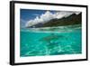 Half Water Half Land, Sharks in the Pacific Ocean, Moorea, Tahiti, French Polynesia-null-Framed Photographic Print