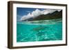 Half Water Half Land, Sharks in the Pacific Ocean, Moorea, Tahiti, French Polynesia-null-Framed Photographic Print