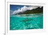 Half Water Half Land, Sharks in the Pacific Ocean, Moorea, Tahiti, French Polynesia-null-Framed Photographic Print