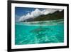 Half Water Half Land, Sharks in the Pacific Ocean, Moorea, Tahiti, French Polynesia-null-Framed Photographic Print