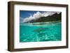 Half Water Half Land, Sharks in the Pacific Ocean, Moorea, Tahiti, French Polynesia-null-Framed Photographic Print