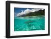 Half Water Half Land, Sharks in the Pacific Ocean, Moorea, Tahiti, French Polynesia-null-Framed Photographic Print