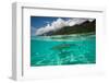 Half Water Half Land, Sharks in the Pacific Ocean, Moorea, Tahiti, French Polynesia-null-Framed Photographic Print