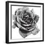 Halftone Rose-Lvnel-Framed Art Print