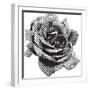 Halftone Rose-Lvnel-Framed Art Print