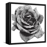 Halftone Rose-Lvnel-Framed Stretched Canvas