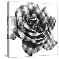 Halftone Rose-Lvnel-Stretched Canvas