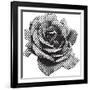 Halftone Rose-Lvnel-Framed Art Print