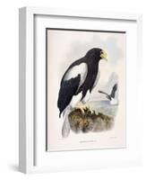 Haliaetus Pelagicus-Daniel Girard Elliot-Framed Giclee Print