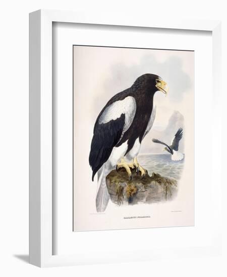 Haliaetus Pelagicus-Daniel Girard Elliot-Framed Giclee Print