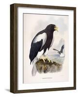 Haliaetus Pelagicus-Daniel Girard Elliot-Framed Giclee Print