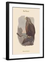 Haliates Albicilla - Sea-Eagle-John Gould-Framed Art Print