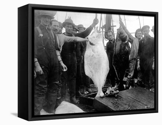 Halibut Fishermen on the Pacific-Alaska Coast, Undated-Asahel Curtis-Framed Stretched Canvas