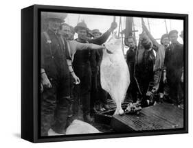 Halibut Fishermen on the Pacific-Alaska Coast, Undated-Asahel Curtis-Framed Stretched Canvas