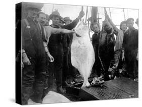 Halibut Fishermen on the Pacific-Alaska Coast, Undated-Asahel Curtis-Stretched Canvas