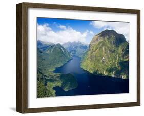 Hall Arm, Doubtful Sound, Fjordland National Park, South Island, New Zealand-David Wall-Framed Premium Photographic Print