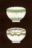 Derby Patterns of Dinner and Dessert Services, 1876-Hall & England-Giclee Print