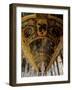 Hall of Mirrors, Palace of Versailles (Photo)-Jules Hardouin Mansart-Framed Giclee Print