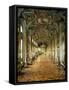Hall of Mirrors, Palazzo Doria Pamphilj, Rome-null-Framed Stretched Canvas