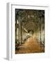 Hall of Mirrors, Palazzo Doria Pamphilj, Rome-null-Framed Photographic Print