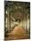 Hall of Mirrors, Palazzo Doria Pamphilj, Rome-null-Mounted Photographic Print