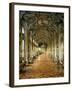 Hall of Mirrors, Palazzo Doria Pamphilj, Rome-null-Framed Photographic Print