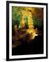 Hall of the Giants, Big Room, Carlsbad Caverns National Park, New Mexico, USA-Maresa Pryor-Framed Photographic Print