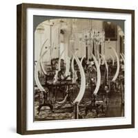 Hall of Tusks,' in the Home of Lady De Soysa, Bambalapitiya, Colombo, Ceylon, 1903-Underwood & Underwood-Framed Giclee Print