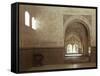 Hall of Two Sisters, Alhambra, Unesco World Heritage Site, Granada, Andalucia, Spain-Adam Woolfitt-Framed Stretched Canvas