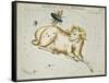 Hall's Astronomical Illustrations I-Sidney Hall-Framed Stretched Canvas