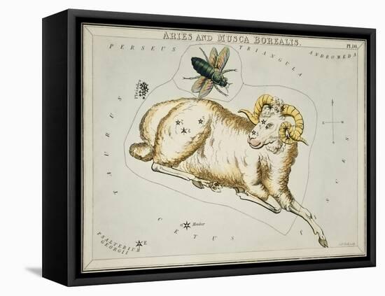 Hall's Astronomical Illustrations I-Sidney Hall-Framed Stretched Canvas