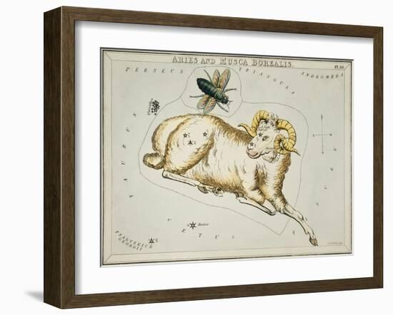 Hall's Astronomical Illustrations I-Sidney Hall-Framed Art Print