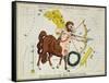 Hall's Astronomical Illustrations II-Sidney Hall-Framed Stretched Canvas