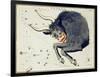 Hall's Astronomical Illustrations III-Sidney Hall-Framed Art Print