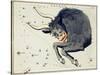 Hall's Astronomical Illustrations III-Sidney Hall-Stretched Canvas