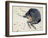 Hall's Astronomical Illustrations III-Sidney Hall-Framed Art Print