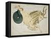 Hall's Astronomical Illustrations VIII-Sidney Hall-Framed Stretched Canvas