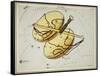 Hall's Astronomical Illustrations X-Sidney Hall-Framed Stretched Canvas