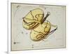 Hall's Astronomical Illustrations X-Sidney Hall-Framed Art Print