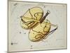 Hall's Astronomical Illustrations X-Sidney Hall-Mounted Art Print