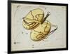 Hall's Astronomical Illustrations X-Sidney Hall-Framed Art Print