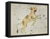 Hall's Astronomical Illustrations XI-Sidney Hall-Framed Stretched Canvas
