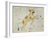 Hall's Astronomical Illustrations XI-Sidney Hall-Framed Art Print