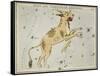 Hall's Astronomical Illustrations XI-Sidney Hall-Framed Stretched Canvas