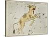 Hall's Astronomical Illustrations XI-Sidney Hall-Stretched Canvas