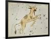 Hall's Astronomical Illustrations XI-Sidney Hall-Framed Art Print